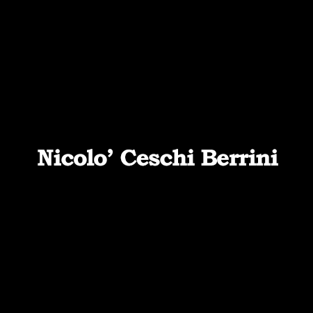 ニコロチェスキベリーニのロゴ